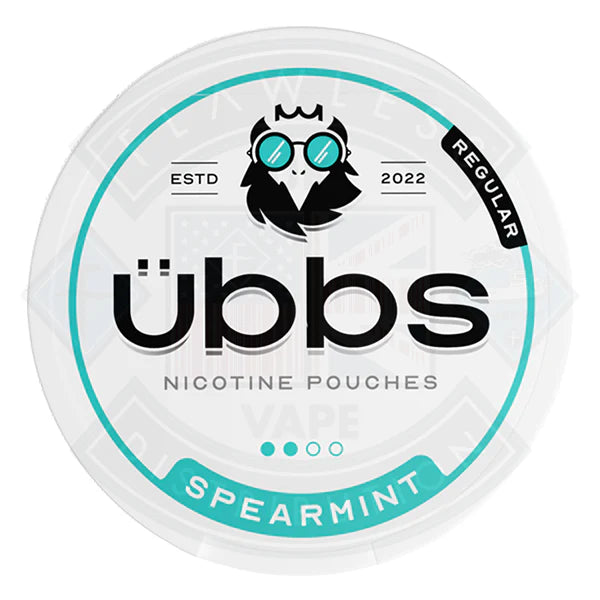 Ubbs Nicotine Pouch